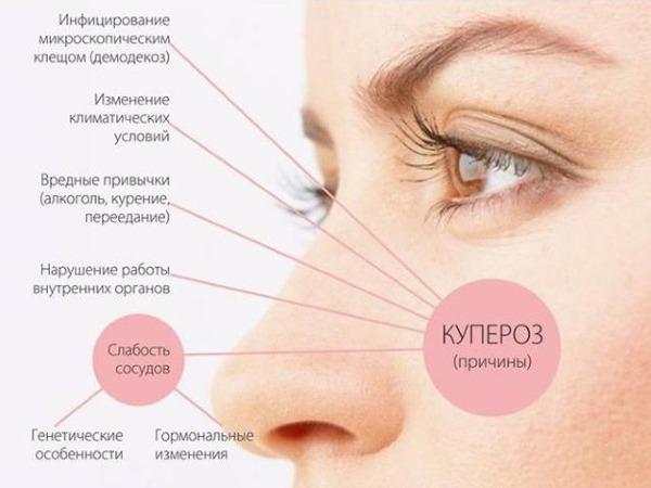 Как принимать Аскорутин для укрепления стенок сосудов: отзывы при профилактике купероза