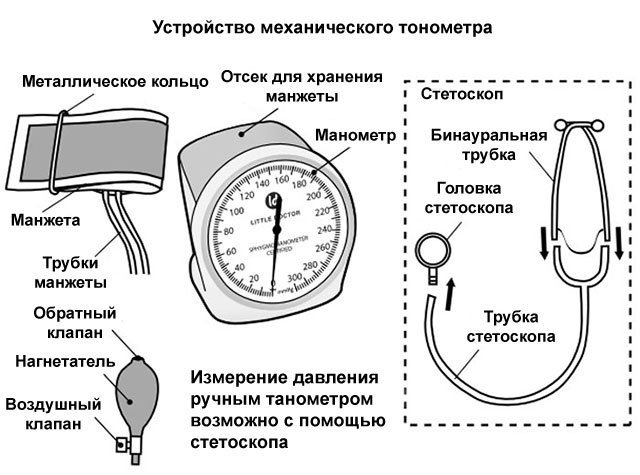 Как правильно измерять давление механическим тонометром: видео