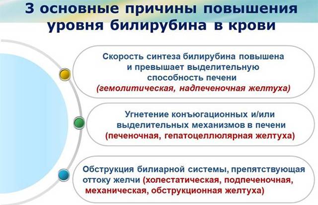 Какова норма билирубина в крови у взрослого человека? Основные показатели.