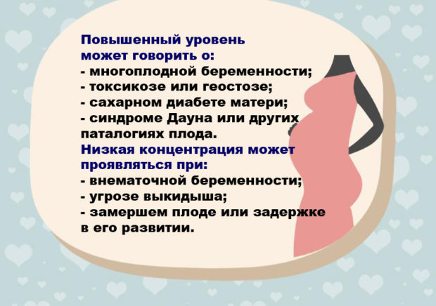 Как сдавать анализ ХГЧ — натощак или нет и другие требования