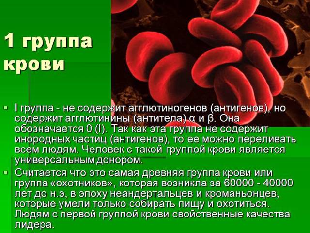 Характеристика людей с 1 положительной группой крови
