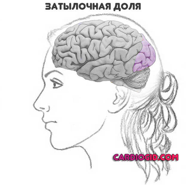 Предпосылки инсульта головного мозга у женщин - как избежать инсульта у женщин