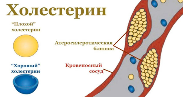 ХОЛОСАС ИНСТРУКЦИЯ ПО ПРИМЕНЕНИЮ отзывы врачей отрицательные и реальные, развод или правда, цена в аптеке на 2019 13:57