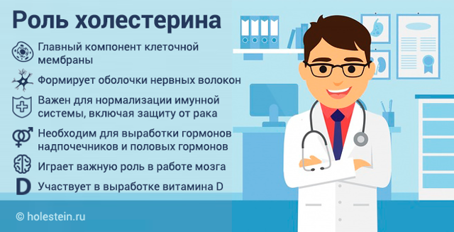 Холестерин 4 8 - Про холестерин