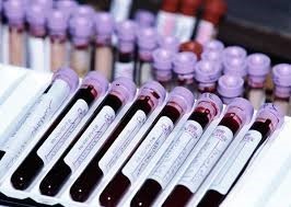 ФСГ когда сдавать на какой день цикла, за что отвечает гормон у женщин