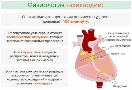 В каком месте и как болит сердце: признаки и симптомы