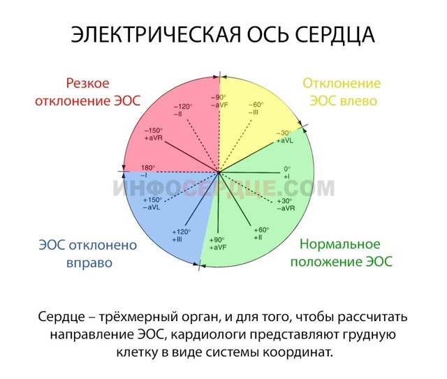 Ритм синусовый горизонтальное положение эос. Нормальное расположение эос и причины ее смещения