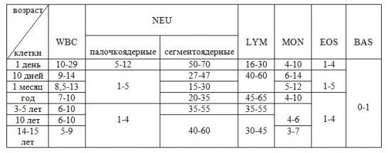 Функции лейкоцитов – за что отвечают? - Диагностика