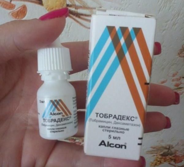 Глазные капли Тобрадекс – инструкция, отзывы, аналоги
