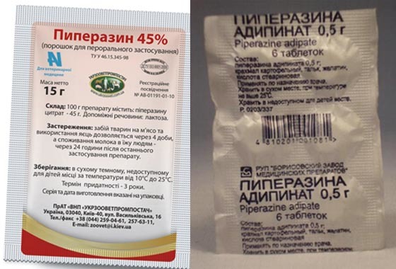 Аскариды: симптомы и лечение у взрослых и детей, препараты от аскаридоза