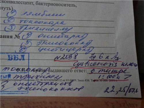 Что такое антитела в крови: их норма, наличие при беременности