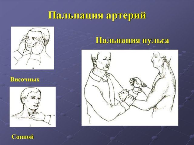 Пульс нитевидный это - Все про гипертонию