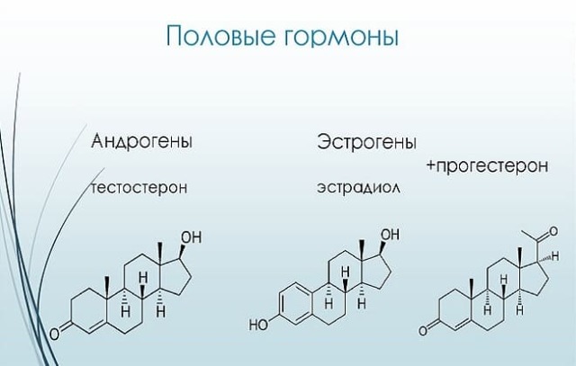 Анализ на гормоны у женщин: таблицы нормы, расшифровка анализа крови