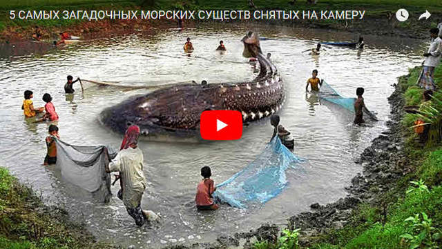 Что такое Артериальная гипертензия?