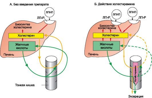 Лекарство для снижения холестерина без побочных эффектов - Про холестерин