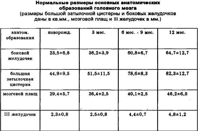 Узи головного мозга для детей: головы ребёнка, после года, где сделать, что показывает