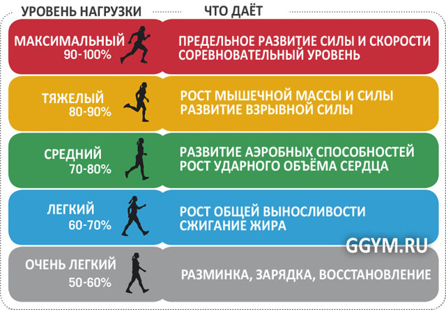 Пульс для сжигания жира: как рассчитать пульс для жиросжигания при кардиотренировке