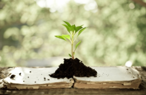 Как понизить давление в домашних условиях?