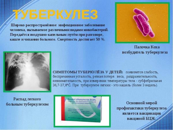 Прямой билирубин в крови: что это такое, нормы, причины повышенного и пониженного значения
