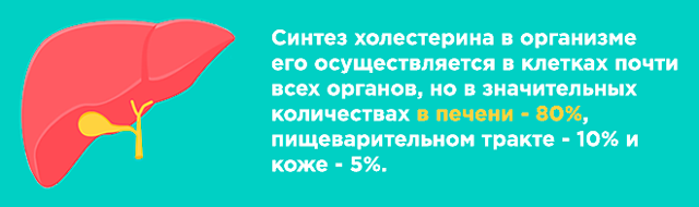 Нарушение липидного обмена: лечение народными средствами