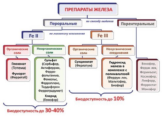 Препараты железа при анемии: список лучших
