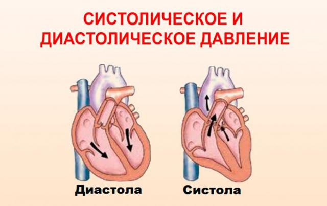 Высокое нижнее давление – причины и интересные факты