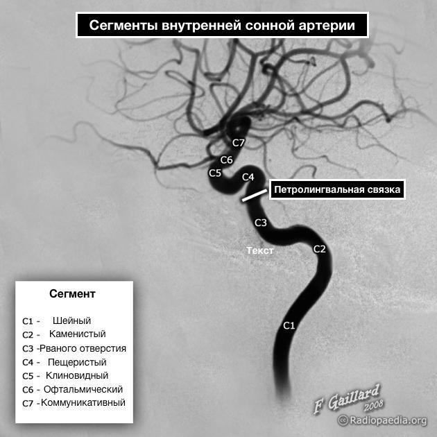 АРТЕРИИ — Большая Медицинская Энциклопедия