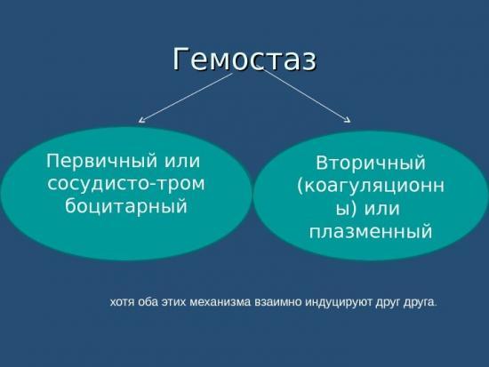 Тромбоцитарно-сосудистый гемостаз