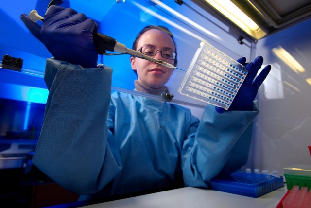 Анализ крови на HCV и HBS: что это означает?