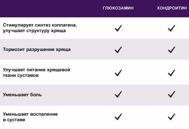 Терафлекс – инструкция по применению: описание и действие средства, аналоги и цена, отзывы о мази и капсулах