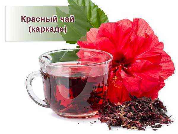 Каркаде и давление - повышает или понижает?