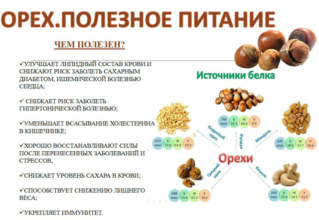Орехи при сахарном диабете 2 типа - какие можно, а какие нет?