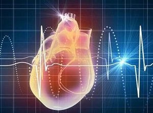 Регулярный и нерегулярный синусовый ритм сердца