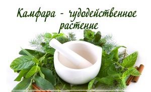 Мазь Доктор Мом: инструкция по применению