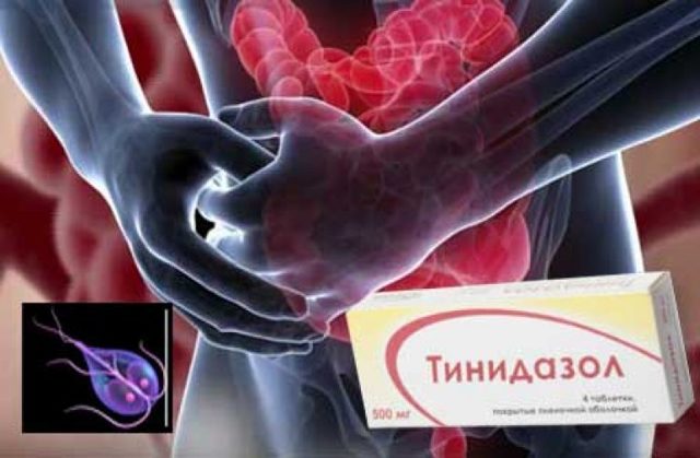 Лямблиоз: симптомы и лечение у взрослых и детей, фото