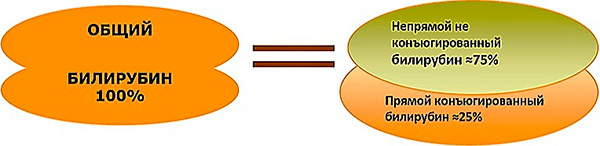 Какова норма билирубина в крови у взрослого человека? Основные показатели.