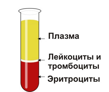 HCT в анализе крови – что это такое, что такое гематокрит в анализе крови? Низкий гематокрит, повышен гематокрит в крови