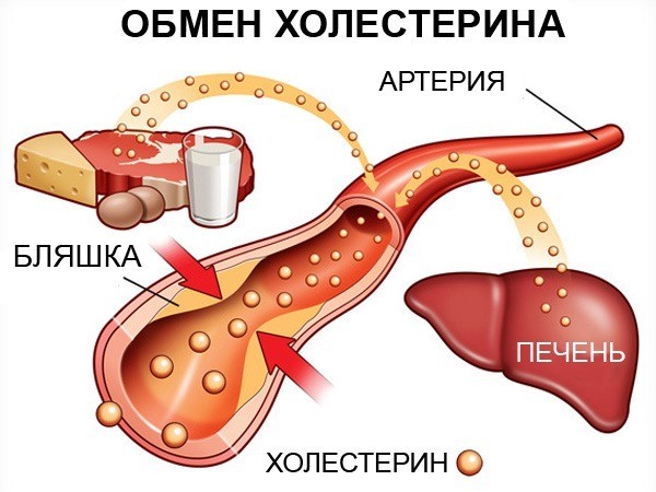 Препараты для снижения холестерина в крови: лекарства и список чем снизить, самые эффективные понижающие