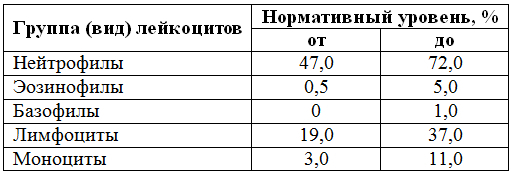 Симптомы, когда много или мало лейкоцитов в крови: что это значит? Опасно ли это?