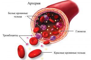 Повышена глюкоза в крови что это значит