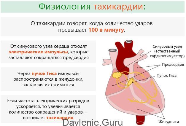 Пульс и давление при простуде