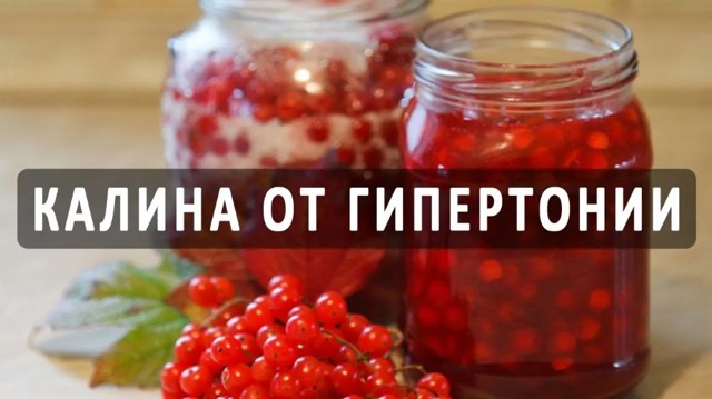 Калина при гипертонии
