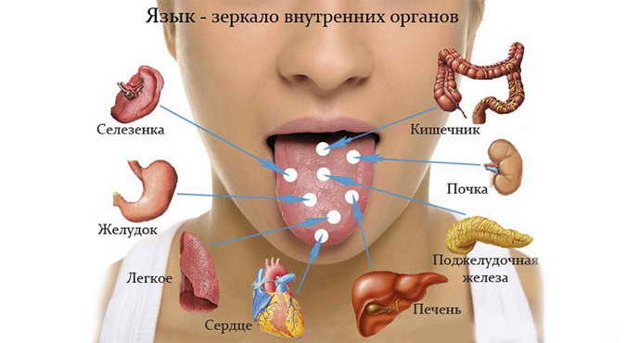 Зеленый налет на языке (зеленый язык) – причины, лечение
