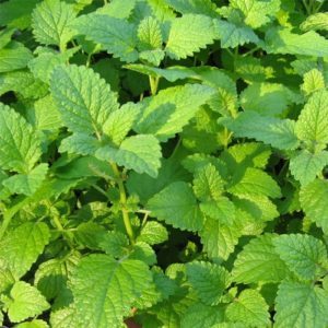 Как избавиться от гипертонии навсегда