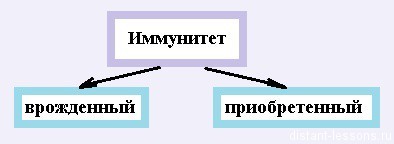 Иммунитет - материалы для подготовки к ЕГЭ по Биологии