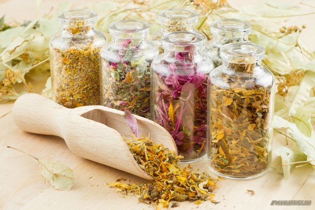 Чистка сосудов народными средствами