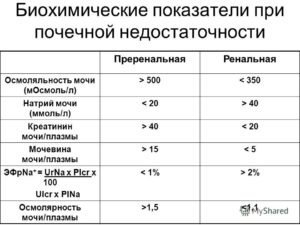 Креатинин при почечной недостаточности