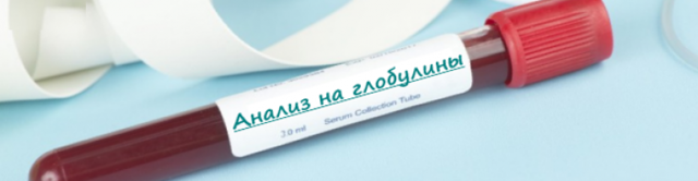 Анализ крови на гамма-глобулин: нормы, повышенный и пониженный уровень