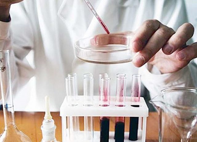 Щелочная фосфатаза в крови понижена у женщин - причины