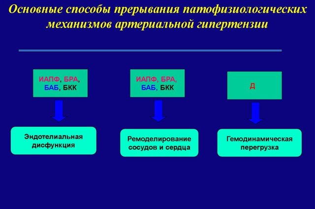 Блокаторы кальциевых каналов